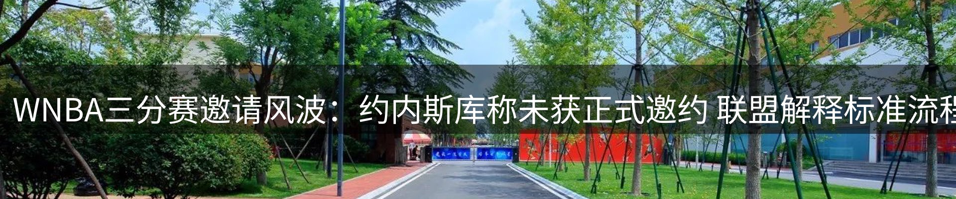 新闻动态